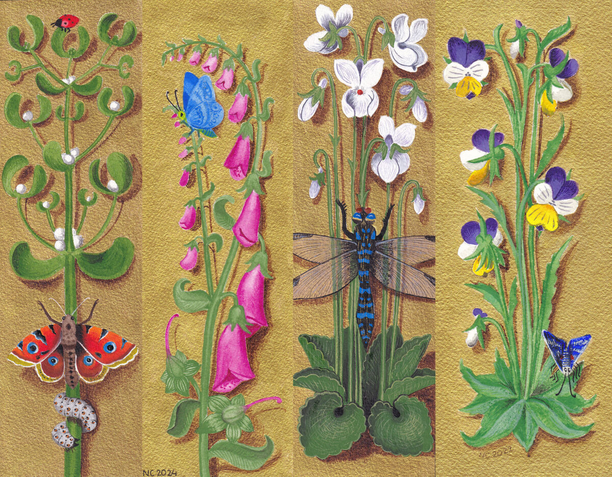 De mes projets de septembre